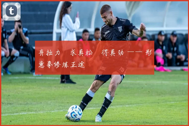 弃拙力・求真松・得真劲 —— 形意拳修炼正途