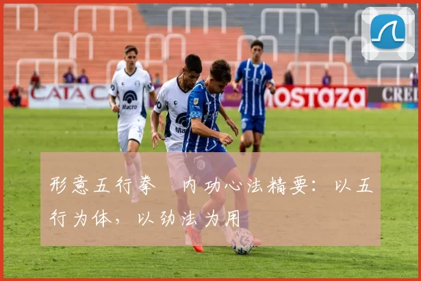 形意五行拳・内功心法精要：以五行为体，以劲法为用