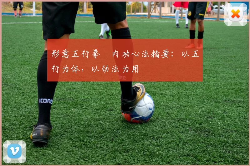 形意五行拳・内功心法精要：以五行为体，以劲法为用