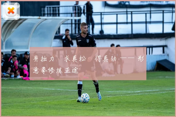 弃拙力・求真松・得真劲 —— 形意拳修炼正途