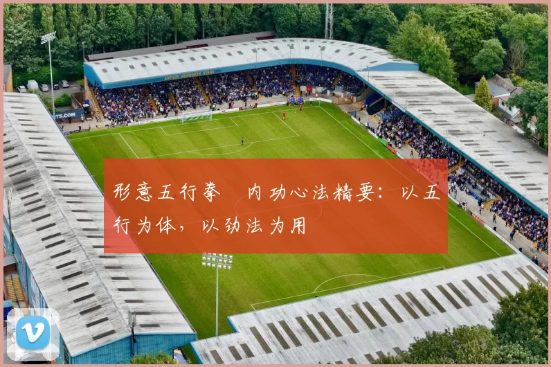 形意五行拳・内功心法精要:以五行为体,以劲法为用