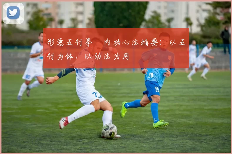 形意五行拳・内功心法精要：以五行为体，以劲法为用