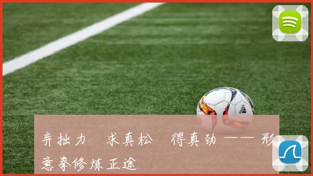 弃拙力・求真松・得真劲 —— 形意拳修炼正途