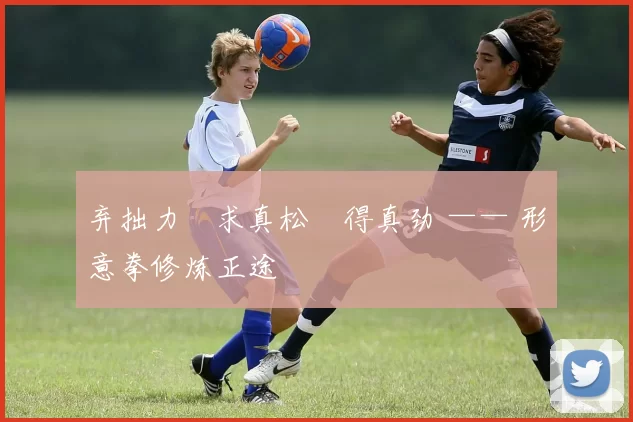 弃拙力・求真松・得真劲 —— 形意拳修炼正途