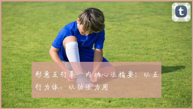 形意五行拳・内功心法精要：以五行为体，以劲法为用