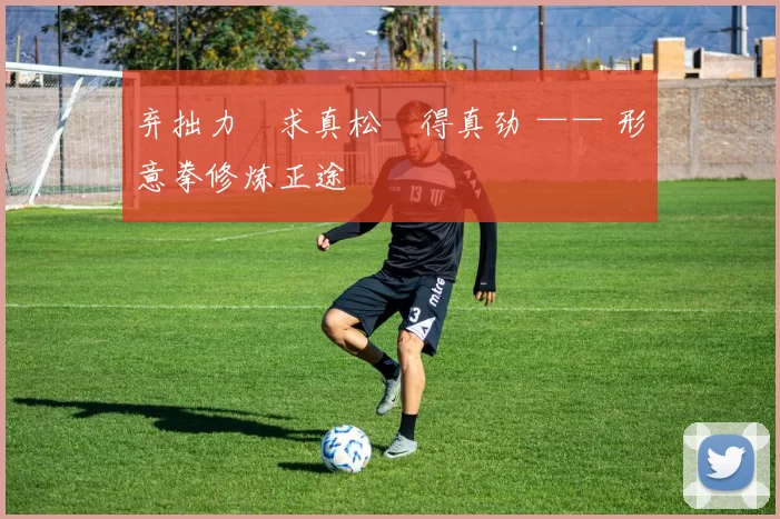 弃拙力・求真松・得真劲 —— 形意拳修炼正途