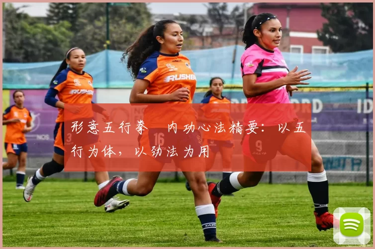 形意五行拳・内功心法精要:以五行为体,以劲法为用