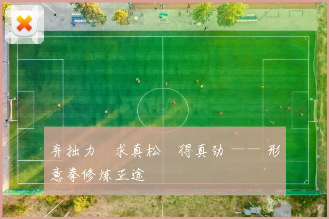 弃拙力・求真松・得真劲 —— 形意拳修炼正途