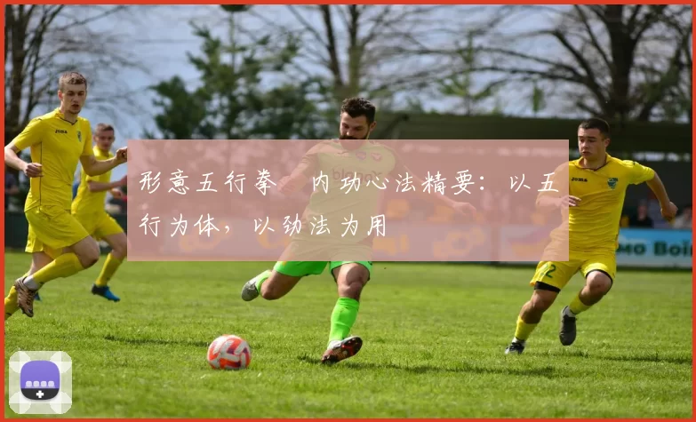 形意五行拳・内功心法精要：以五行为体，以劲法为用