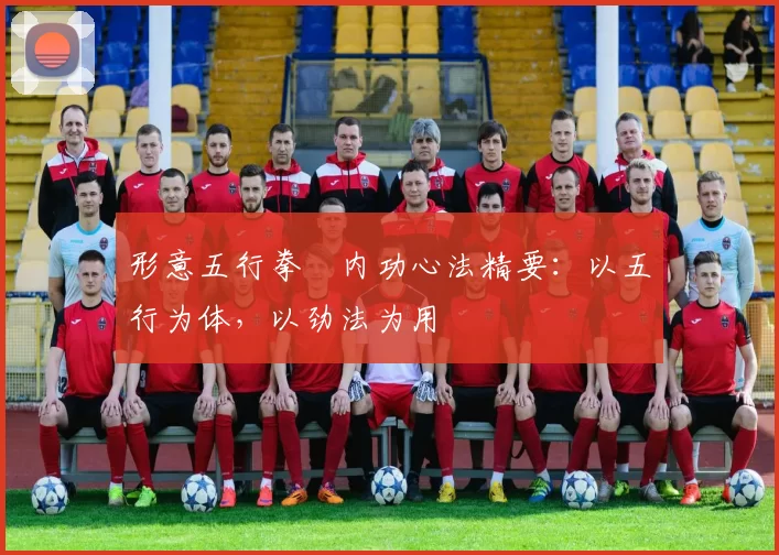 形意五行拳・内功心法精要：以五行为体，以劲法为用