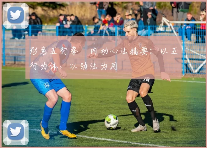 形意五行拳・内功心法精要:以五行为体,以劲法为用