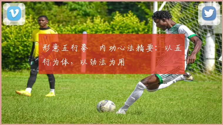 形意五行拳・内功心法精要：以五行为体，以劲法为用