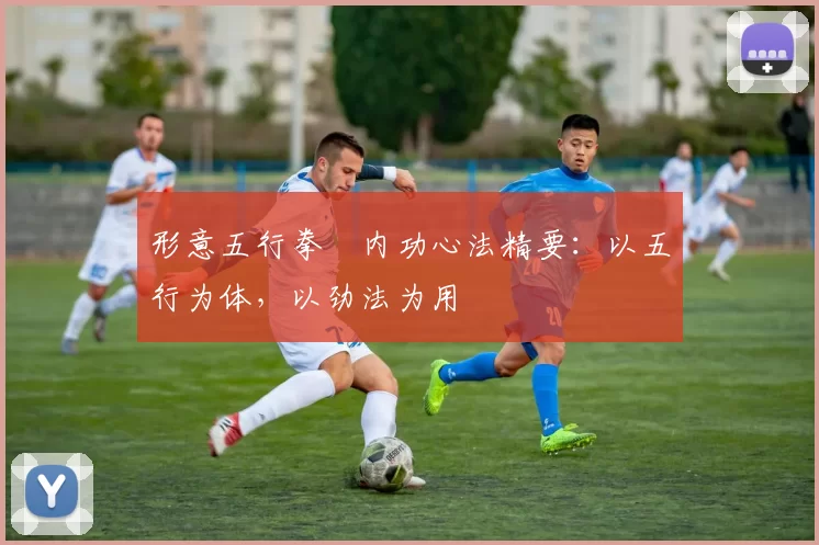 形意五行拳・内功心法精要：以五行为体，以劲法为用