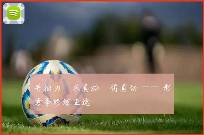 弃拙力・求真松・得真劲 —— 形意拳修炼正途