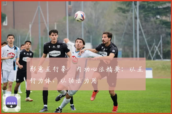 形意五行拳・内功心法精要：以五行为体，以劲法为用