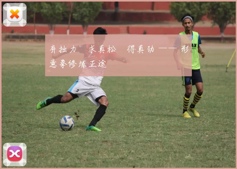 弃拙力・求真松・得真劲 —— 形意拳修炼正途