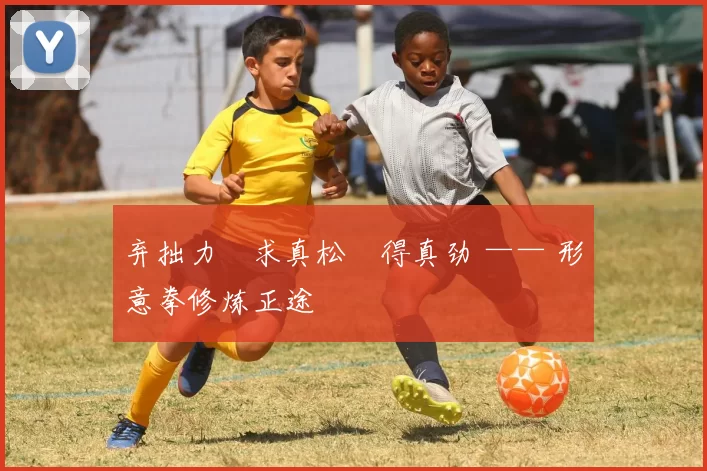 弃拙力・求真松・得真劲 —— 形意拳修炼正途