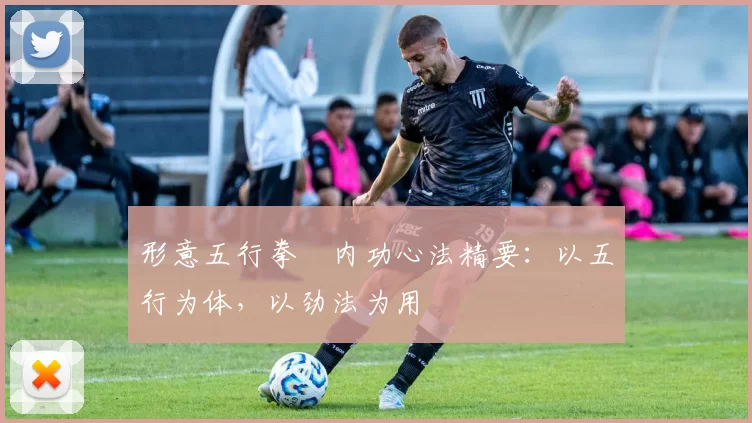 形意五行拳・内功心法精要：以五行为体，以劲法为用