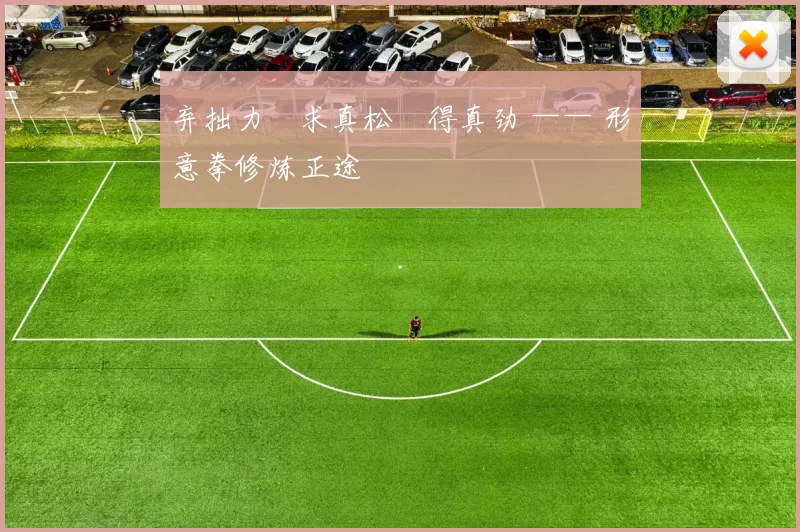 弃拙力・求真松・得真劲 —— 形意拳修炼正途