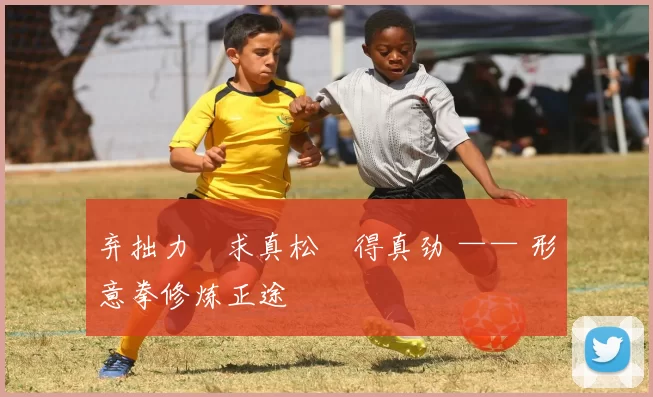 弃拙力・求真松・得真劲 —— 形意拳修炼正途