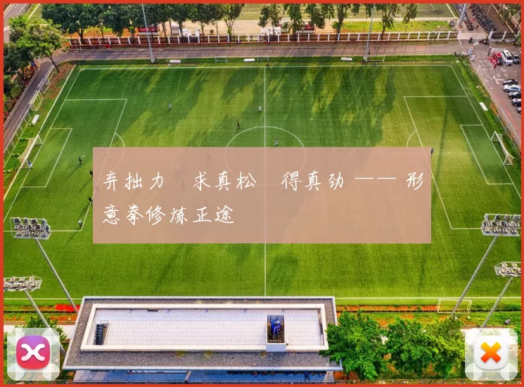 弃拙力・求真松・得真劲 —— 形意拳修炼正途