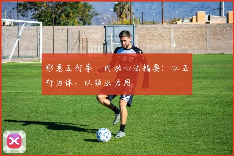 形意五行拳・内功心法精要：以五行为体，以劲法为用