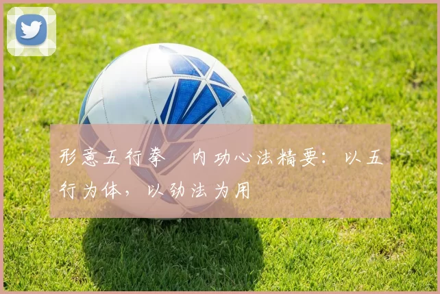 形意五行拳・内功心法精要:以五行为体,以劲法为用