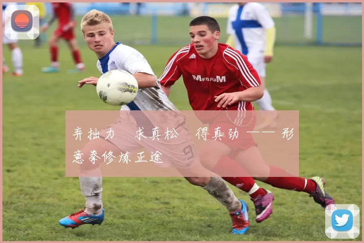 弃拙力・求真松・得真劲 —— 形意拳修炼正途