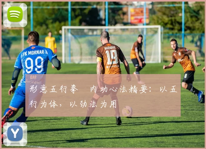 形意五行拳・内功心法精要：以五行为体，以劲法为用