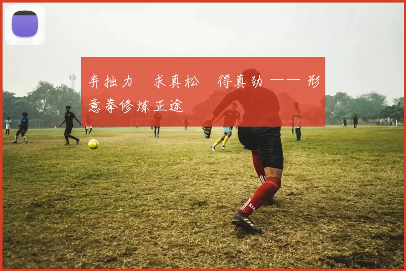 弃拙力・求真松・得真劲 —— 形意拳修炼正途