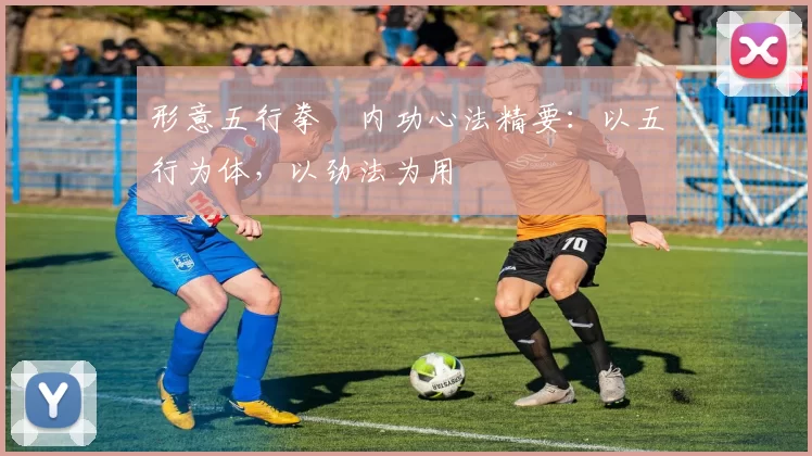 形意五行拳・内功心法精要：以五行为体，以劲法为用