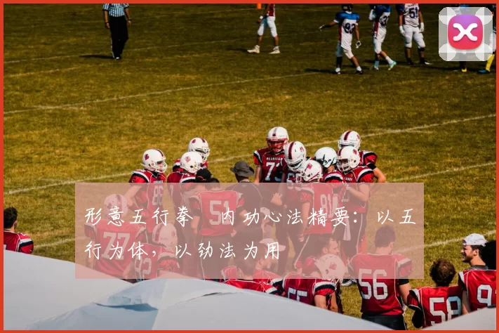 形意五行拳・内功心法精要：以五行为体，以劲法为用