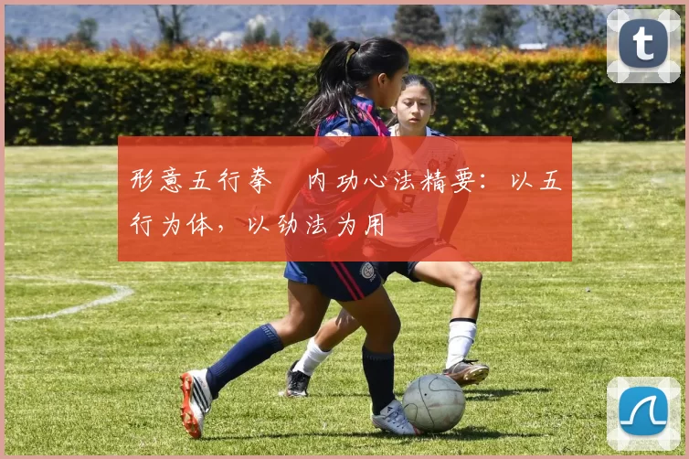 形意五行拳・内功心法精要：以五行为体，以劲法为用