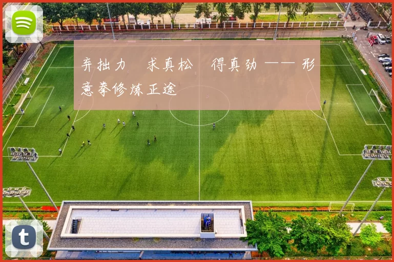 弃拙力・求真松・得真劲 —— 形意拳修炼正途