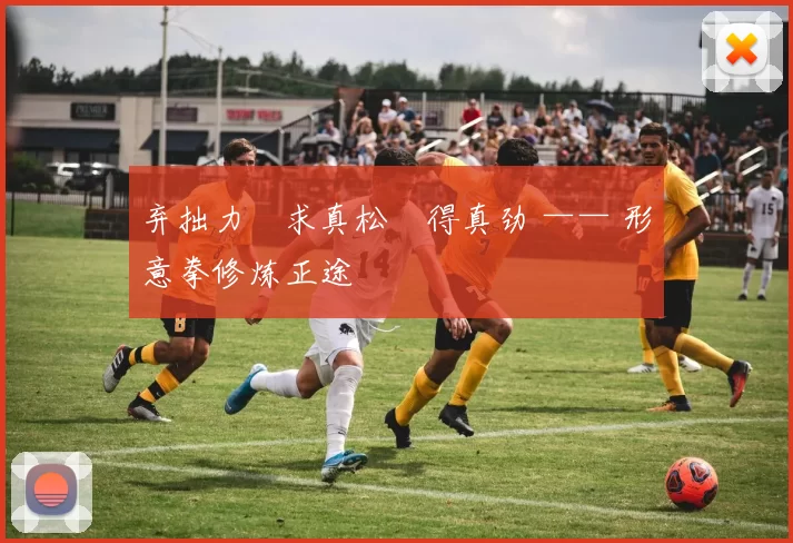 弃拙力・求真松・得真劲 —— 形意拳修炼正途