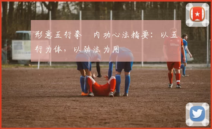 形意五行拳・内功心法精要:以五行为体,以劲法为用