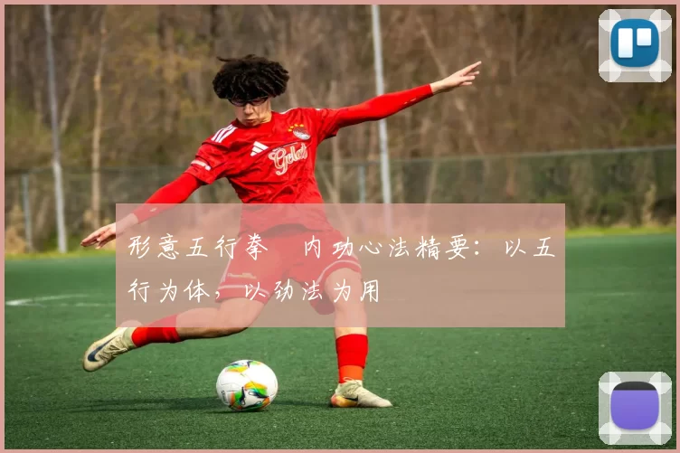 形意五行拳・内功心法精要：以五行为体，以劲法为用