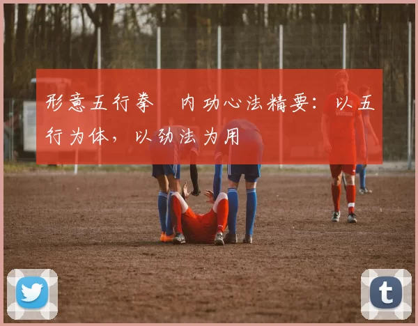 形意五行拳・内功心法精要：以五行为体，以劲法为用