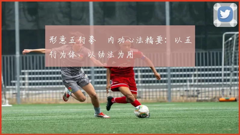 形意五行拳・内功心法精要:以五行为体,以劲法为用