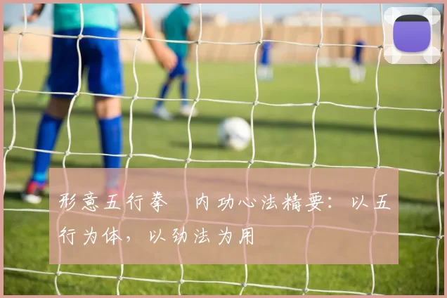 形意五行拳・内功心法精要:以五行为体,以劲法为用