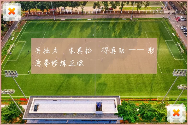 弃拙力・求真松・得真劲 —— 形意拳修炼正途