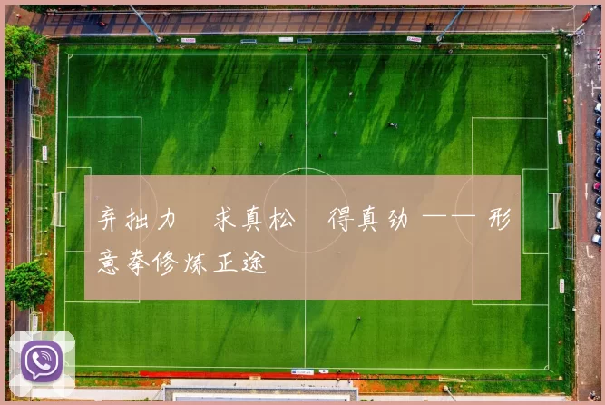 弃拙力・求真松・得真劲 —— 形意拳修炼正途