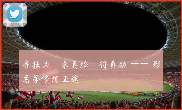 弃拙力・求真松・得真劲 —— 形意拳修炼正途