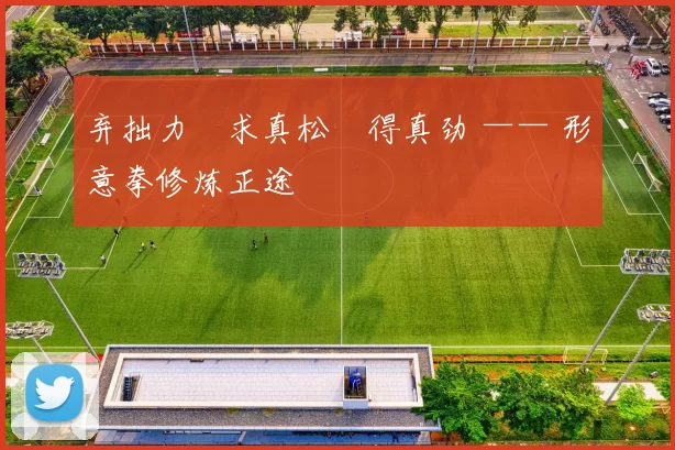 弃拙力・求真松・得真劲 —— 形意拳修炼正途