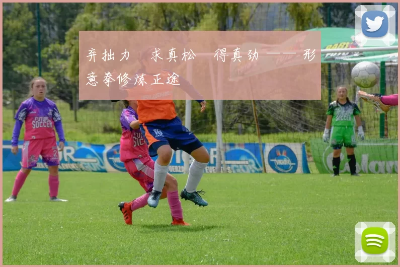 弃拙力・求真松・得真劲 —— 形意拳修炼正途