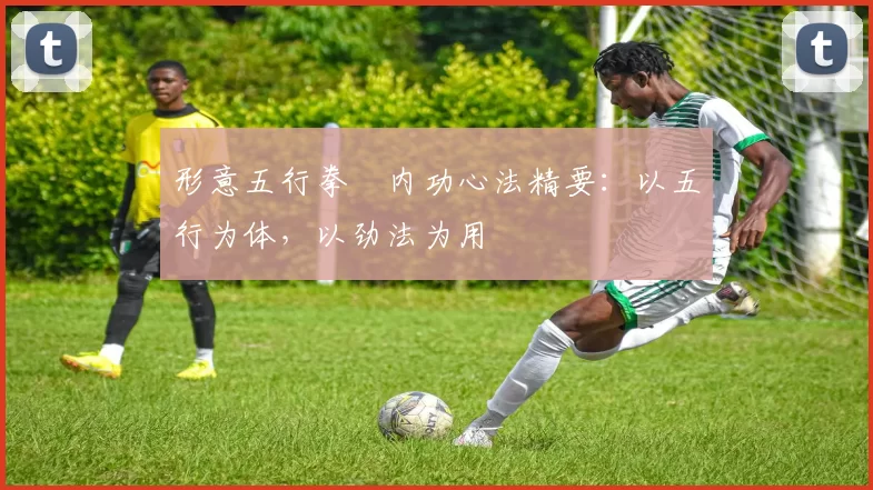 形意五行拳・内功心法精要:以五行为体,以劲法为用
