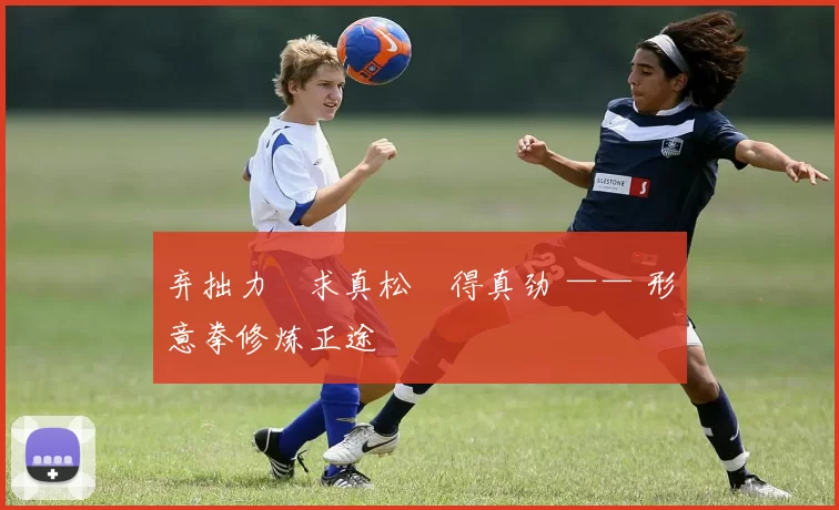 弃拙力・求真松・得真劲 —— 形意拳修炼正途