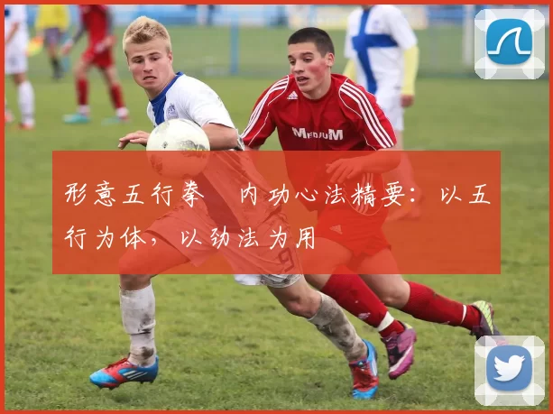 形意五行拳・内功心法精要:以五行为体,以劲法为用