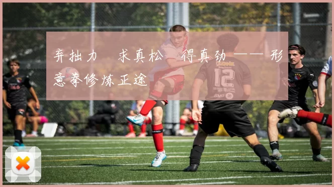 弃拙力・求真松・得真劲 —— 形意拳修炼正途