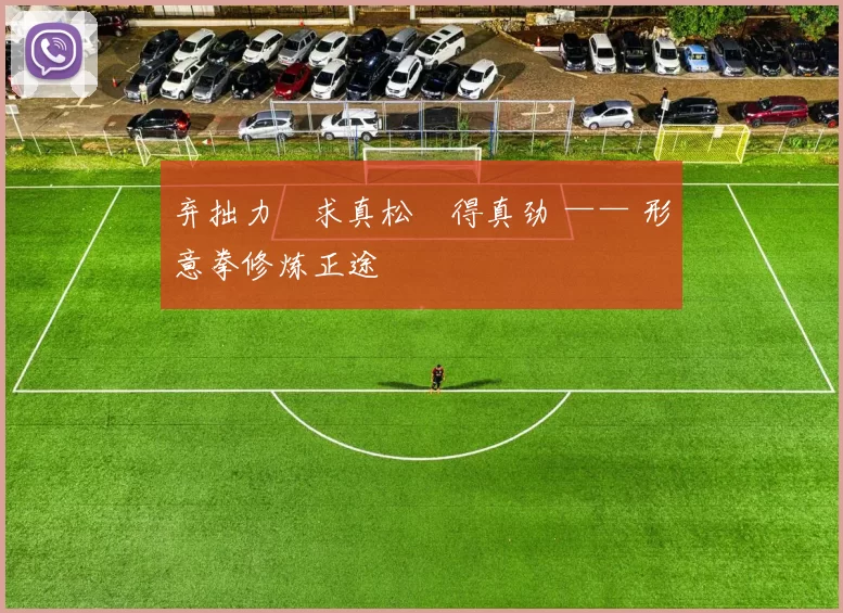 弃拙力・求真松・得真劲 —— 形意拳修炼正途